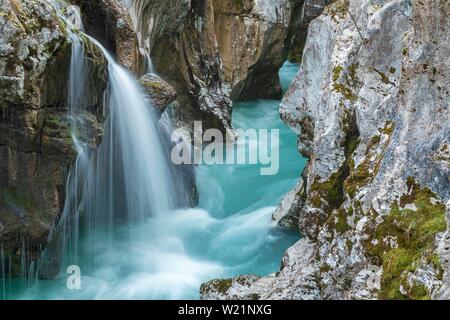 Emerald green wild river Soca flows through narrow canyon, Soca Valley, Triglav National Park, Bovec, Slovenia Stock Photo