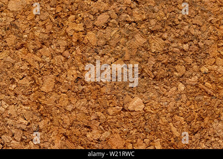 texture of cork plate trivet Stock Photo