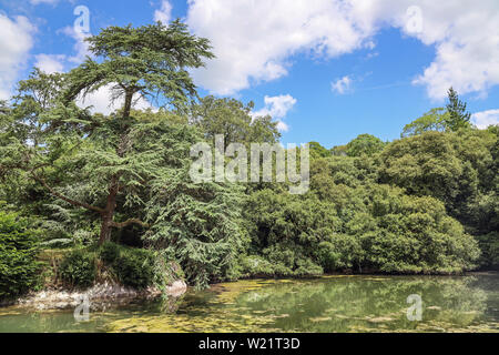 Bath House Pond at Anthony Woodlands, Torpoint Cornwall. Landscaped gardens on the shore of the River Lynher Stock Photo