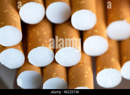 Cigarettes filters - close up and full frame photo. Stock Photo