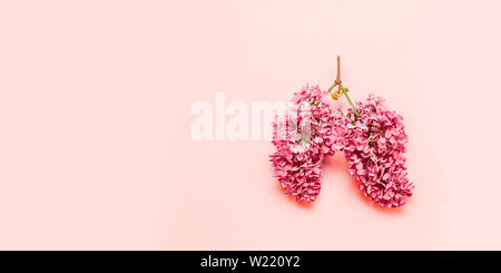 Medical concept of pink flowers in the form of a light pink background with place for text. Stock Photo