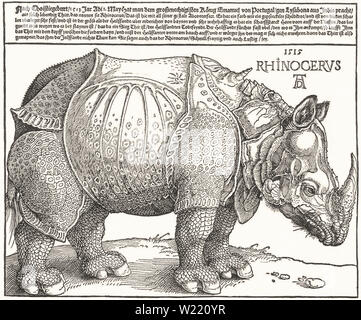 Albrecht Dürer - Rhinoceros 1515 Stock Photo