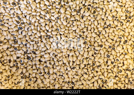 White kidney beans, background Stock Photo