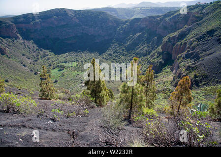 The volcanic crater 1000 m in diameter and 200m deep - Caldera de Bandama, Gran Canaria, Spain Stock Photo