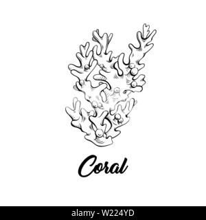 Coral black ink hand drawn illustration. Marine life, sea reef ecosystem wildlife monochrome engraving. Aquarium decoration. Scuba diving, snorkeling club logo. Poster, banner design element Stock Vector