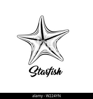 Starfish black and white vector illustration. Sealife saltwater creature freehand drawing. Marine fauna, oceanic invertebrate animal hand drawn engraving with calligraphy. Postcard design element Stock Vector