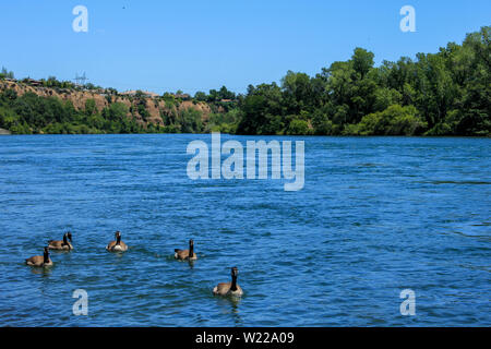 The Sacramento River- Principal river of Northern California in the United States Stock Photo