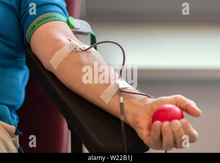 Dresden, Germany. 01st July, 2019. A blood donor lies on a couch at the DRK Blood Donation Service North-East to donate blood. Credit: Robert Michael/dpa-Zentralbild/ZB/dpa/Alamy Live News Stock Photo