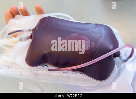 Dresden, Germany. 01st July, 2019. A fresh blood supply is in the hands of an employee at the DRK Blood Donation Service North-East. Credit: Robert Michael/dpa-Zentralbild/ZB/dpa/Alamy Live News Stock Photo