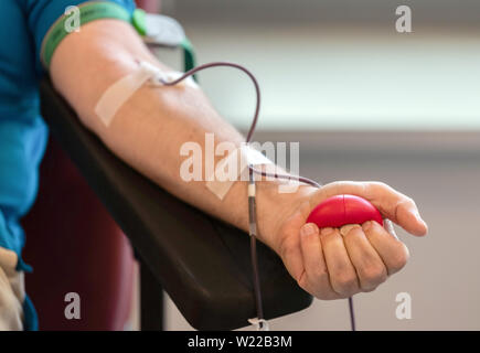 Dresden, Germany. 01st July, 2019. A blood donor lies on a couch at the DRK Blood Donation Service North-East to donate blood. Credit: Robert Michael/dpa-Zentralbild/ZB/dpa/Alamy Live News Stock Photo