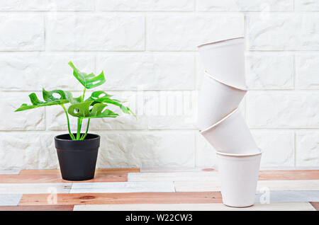 Biodegradable glass make from nature with plant on wooden table. Stock Photo