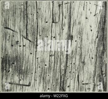 figs with defects Stock Photo - Alamy