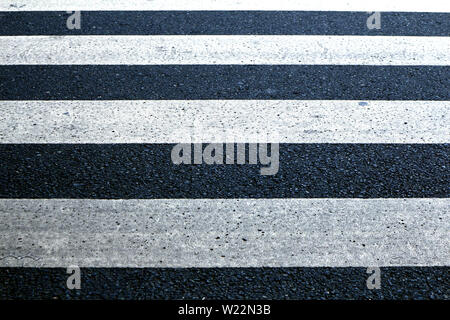 Photo of the white paint lines of a pedestrian lane on a road Stock Photo