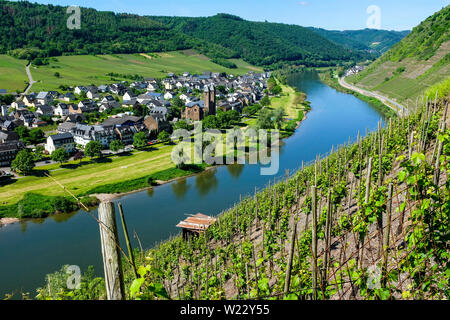 Germany, Rhineland-Palatinate, Ernst, 01.06.2019: View of the wine town of Ernst on the Mosel from Valwiger Herrenberg, one of the best vineyards on t Stock Photo
