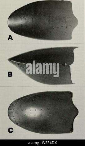 Archive image from page 132 of The Cyathaspididae; a family of Stock Photo