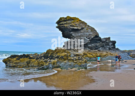 Unusual rock formation on the beach at Llangrannog in West Wales. Low tide. Family group & dog exploring. Stock Photo