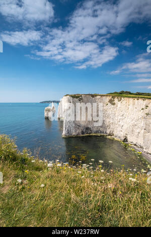 The Pinnacles pictured from Ballard Down, Isle of Purbeck, Dorset, UK Stock Photo