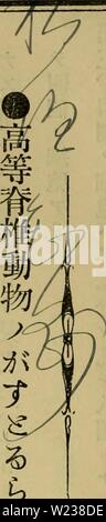 Archive image from page 143 of Dbutsugaku zasshi (1889) Stock Photo