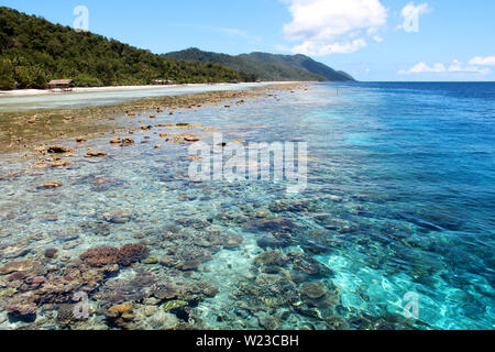 Coral reef under blue and clear water at the coast of Kri Island, Raja Ampat, south-east Asia. Stock Photo