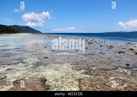 Almost dry coral reef with rocks and sand under clear water at the coast of Kri Island, Raja Ampat, south-east Asia. Stock Photo