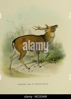 Archive image from page 154 of The deer of all lands; Stock Photo