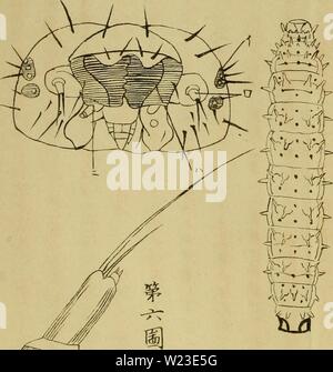 Archive image from page 157 of Dbutsugaku zasshi (1889)