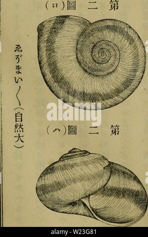 Archive image from page 162 of Dbutsugaku zasshi (1889) Stock Photo