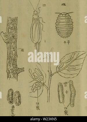 Dbutsugaku Zasshi Zoology Zoology a º A 1a A A C A A Please Note That These Images Are Extracted From Scanned Page Images That May Have Been Digitally Enhanced For Readability Coloration And Appearance Of