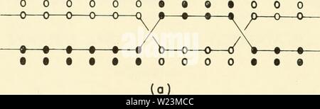 Archive image from page 173 of Cytology (1961) Stock Photo