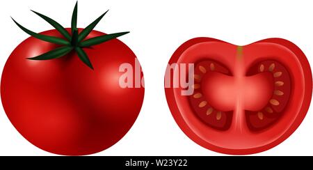 red tomato illustration vector Stock Vector