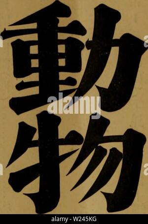 Archive image from page 207 of Dbutsugaku zasshi (1889) Stock Photo