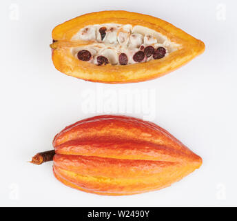 Half sliced cacao pod isolated on white studio background Stock Photo