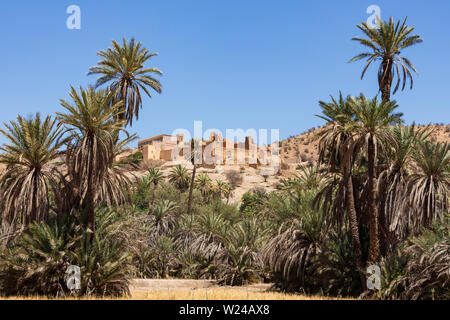 The Kasbah (Arabic, means fortress) of Tiout surrounded by palm trees Standing in the oasis of Tiout Stock Photo