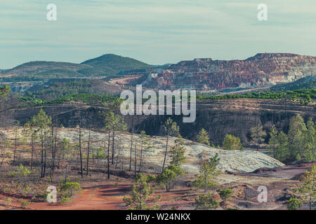 Less than a year after a devastating forest fire, new growth begins to emerge on the forest floor with mines background Stock Photo