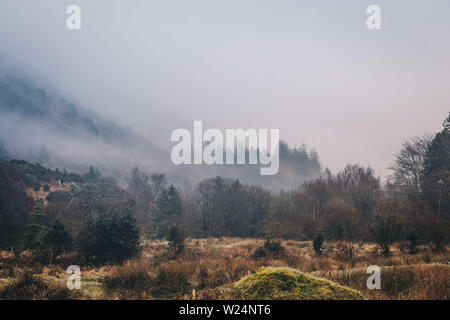 Misty morning in Glenmalure valley in Wicklow Mountains, Ireland Stock Photo