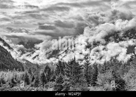 Canada, British Columbia, Hope vicinity, Nicolum Creek Valley, monochrome, B&W Stock Photo