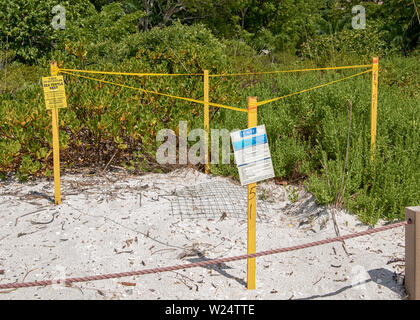 Loggerhead turtle nest with protection barrier and protection signs. Stock Photo
