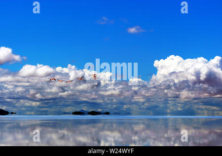 Uyuni Salt Flats rain season Stock Photo