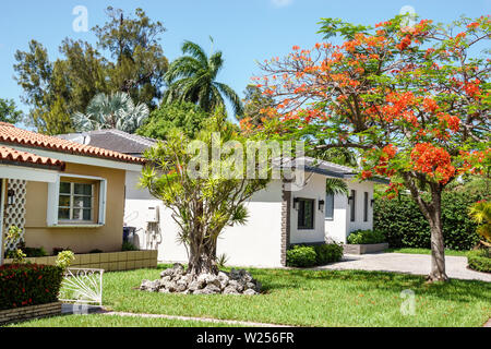 Miami Beach Florida,North Beach,Normandy Shores,neighborhood,single-family homes,front lawn,landscaping,Royal Poinciana tree trees,visitors travel tra Stock Photo