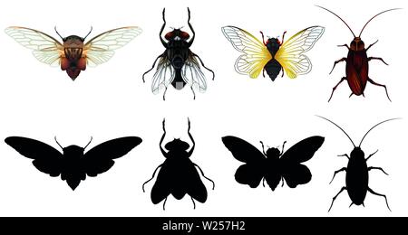 Set of different insects illustration Stock Vector