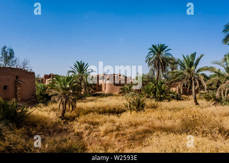 Ruins of the traditional Arab mud brick houses among the date palm trees Stock Photo