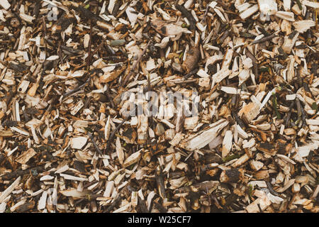 Wood chips texture. Lumber, industrial wood background. Logging close-up. Pattern of trunk, wall surface, timber. Brown firewood. Stock Photo