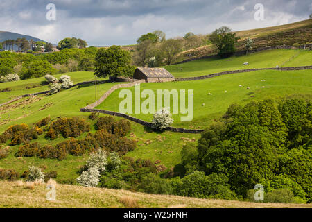UK, Cumbria, Sedbergh, Frostrow and Soolbank, Low Fawes field barn in lowland farmland at Dovecote Gill