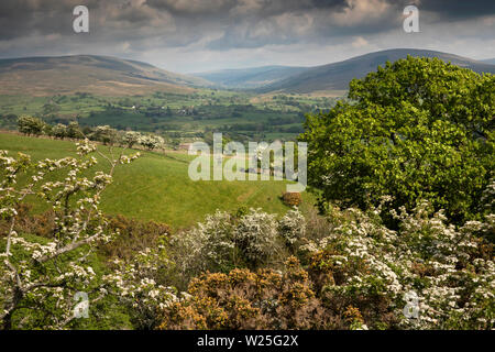UK, Cumbria, Sedbergh, Settlebeck Gill, elevated view from Dales High Way path towards Garsdale Stock Photo