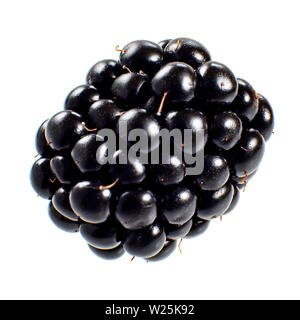 Single blackberry fruit isolated on white background Stock Photo