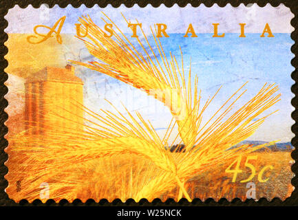 Wheat ears on australian postage stamp Stock Photo