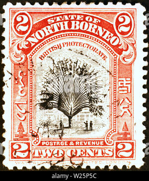 Old postage stamp of North Borneo with a palm tree Stock Photo