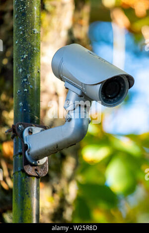 Round shape CCTV in city park. Safety in life Stock Photo
