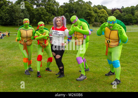 Adult Teenage Mutant Ninja Turtles Dress Costume
