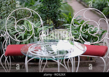 A rest corner in a winter tropical garden. Stock Photo